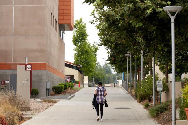 为什么加州州立大学要推迟社区大学提供学士学位的计划